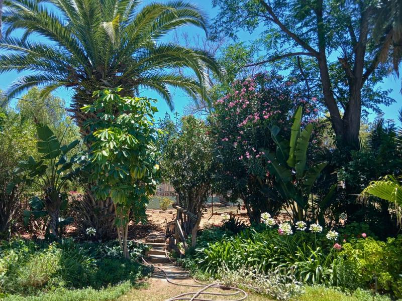 4 Bedroom Property for Sale in Jansenville Eastern Cape